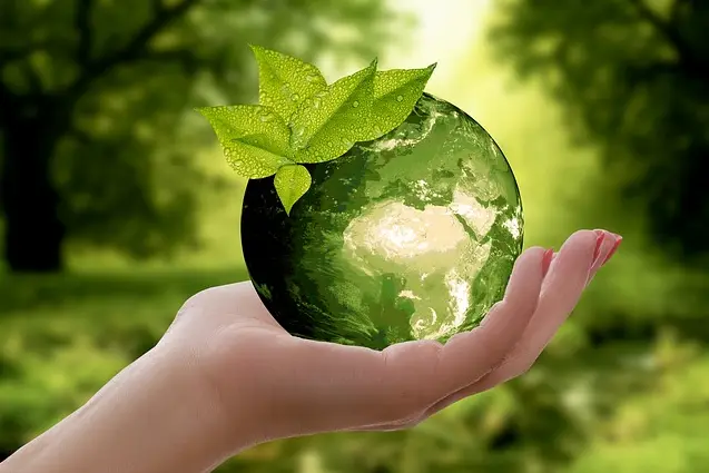 enviroment